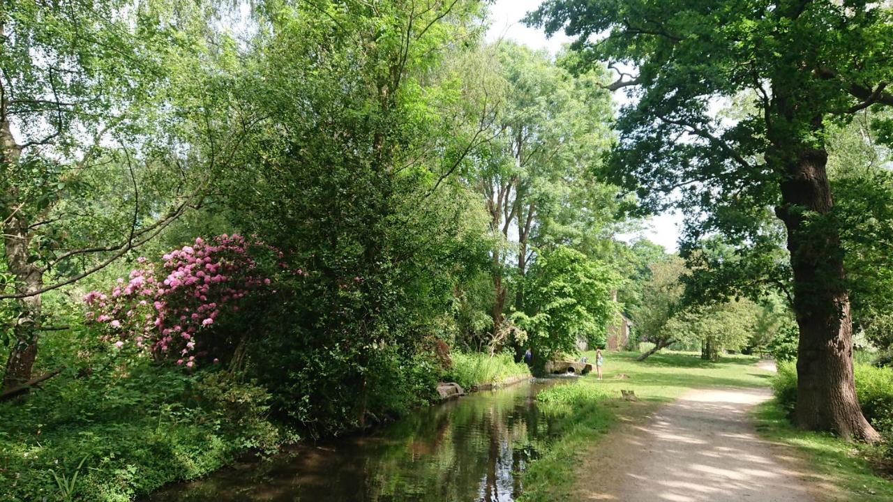 Tulana Taggs - Floating On Idyllic Island * Hampton Hill